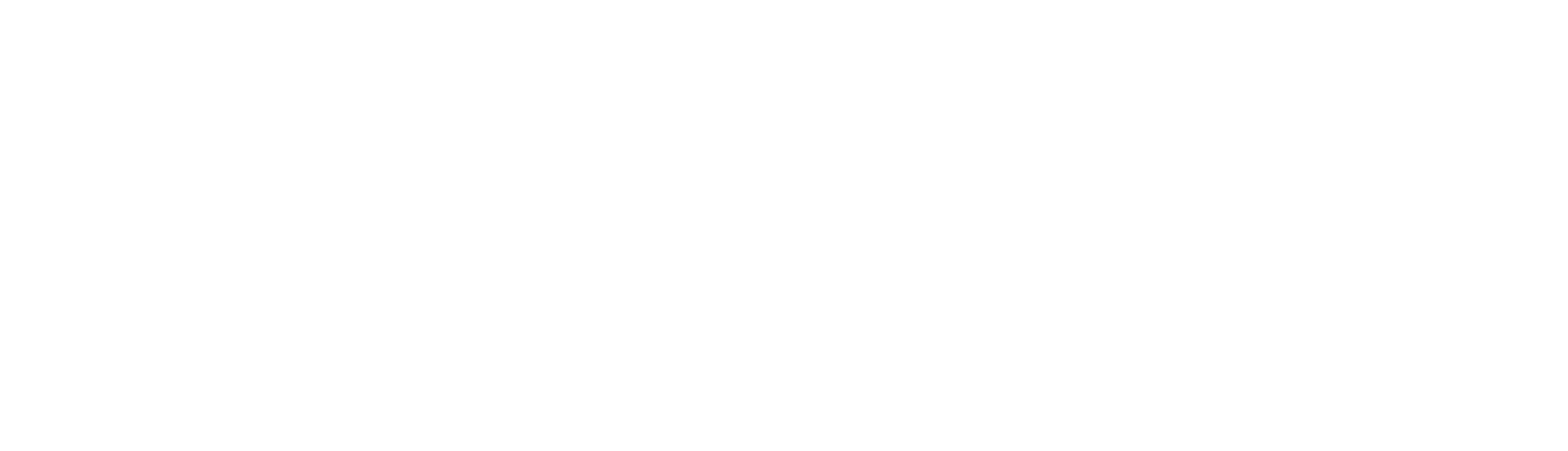 CRISTIAN VIERIU